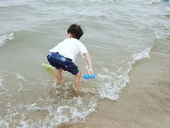 -碧海金沙