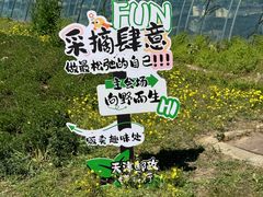 -甜心庄园·甜心草莓采摘园(西青中北店)