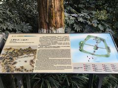 -西湖游船