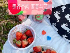 -晓港公园