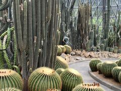 -深圳仙湖植物园