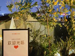 -纽扣NEWKO