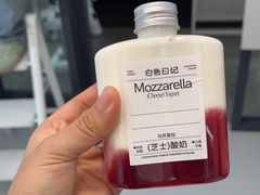 -白色日记·手作酸奶(麦凯乐店)