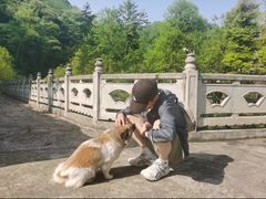 -凤栖山