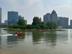 -金沙湖公园