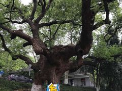 -中国美术学院象山校区-民艺博物馆