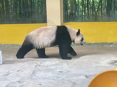 -杭州野生动物世界
