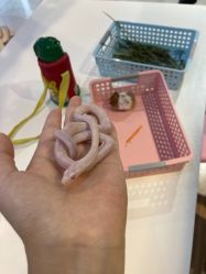 -Moni星球萌宠·小马宝莉·灵蛇·高端高阶全萌宠互动体验俱乐部(红豆国际广场店)
