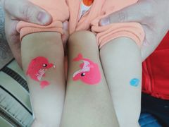 -海合安武汉极地海洋公园