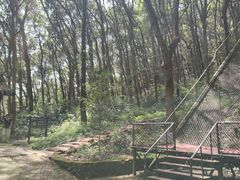 -富春桃源风景区