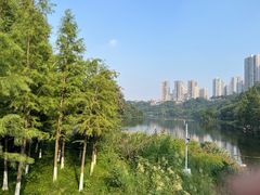 -重庆彩云湖湿地公园
