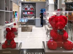 -ROSEONLY诺誓(国际广场购物中心店)