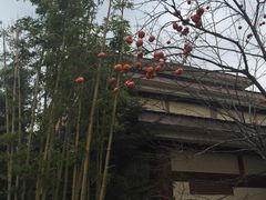 -金石唐风国际温泉会馆