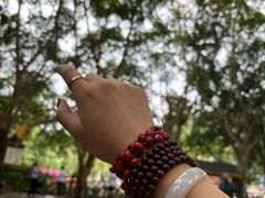 -西双版纳原始森林公园