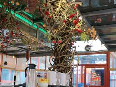 -有喜胶东小馆(太申祥和店)