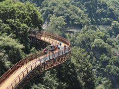 -少华山国家森林公园
