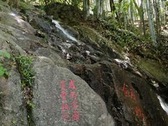 -莫干山风景区