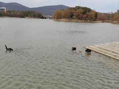 -江南大学(蠡湖校区)