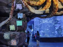 -多彩贵州城极地海洋世界