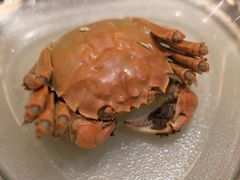 -阳澄湖费尔蒙酒店颐丰阁中餐厅(马鞍山西路店)