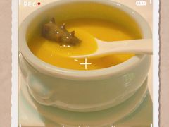 -梧桐