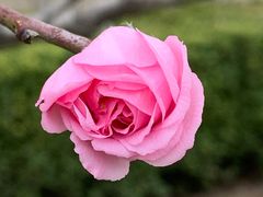 -海棠花溪(元大都城垣遗址公园)