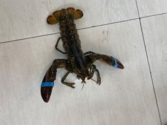 -双海酒店·海鲜家常菜(南戴河店)