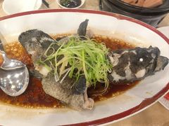 -麒麟中餐厅·经典粤菜·地道菜式老字号(广州长隆酒店)