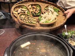 -滇野云南野生菌餐厅(陕西南路店)
