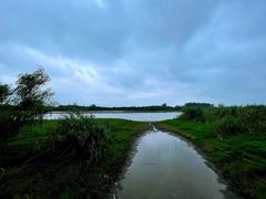 -鱼嘴湿地公园