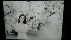 android_upload_pic-爱城婚纱摄影·品质严选店