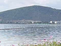 -小普陀