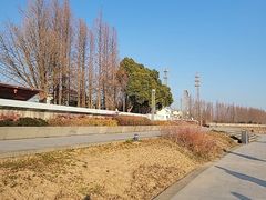 -瀛洲公园