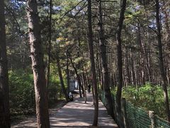 -帽儿山国家森林公园