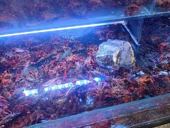 -虾铺子龙虾·私房菜(金源花苑店)