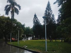 -荔湾湖公园