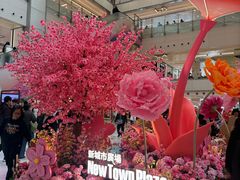 -新城市广场