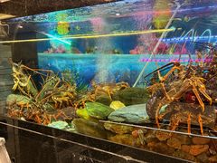 -渔洲情海鲜酒家