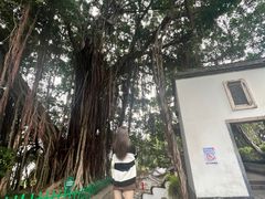 -乌山风景区