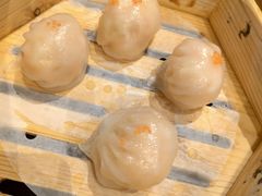 -韩上楼