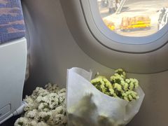 -乌鲁木齐天山国际机场-T3航站楼