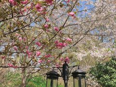-南京市江宁方山