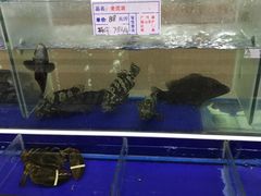 -海鲜城大家餐厅