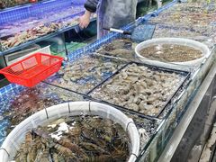 -三旗百汇商品城