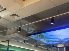 -探窝·竹笙椰子鸡(杨箕店)