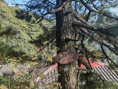 -南岳衡山风景名胜区-南岳大庙