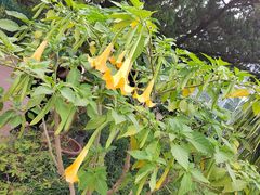 -国家植物园南园