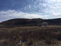 -塞罕坝国家级自然保护区