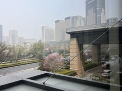 -济南喜来登酒店