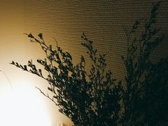 -LANN I 蘭 SPA(陆家嘴中心店)